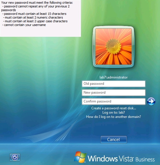 Vista Client Password Change Screen